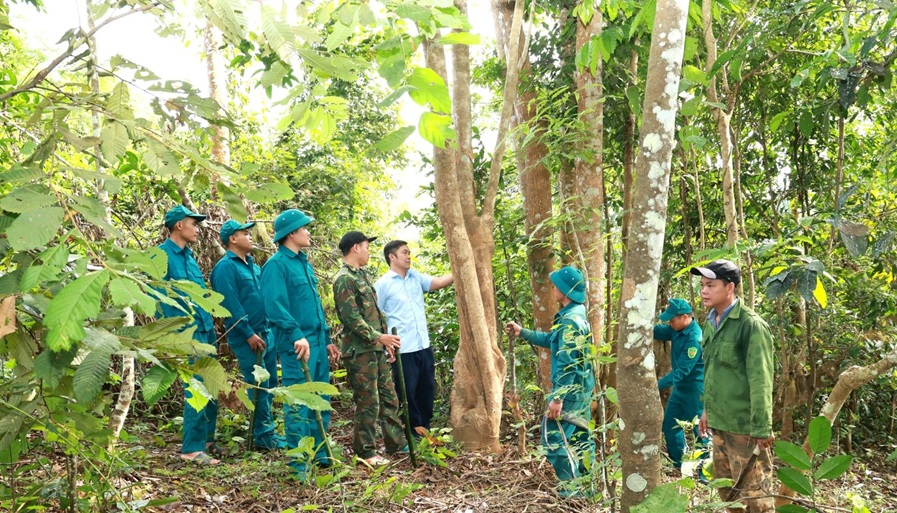Sơn La tăng cường phối hợp quản lý, bảo vệ rừng khu vực biên giới