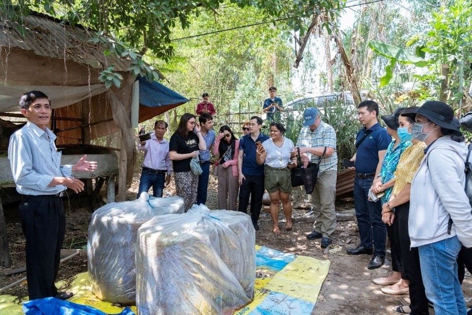 Nhân rộng các mô hình xử lý rơm rạ sau thu hoạch hiệu quả