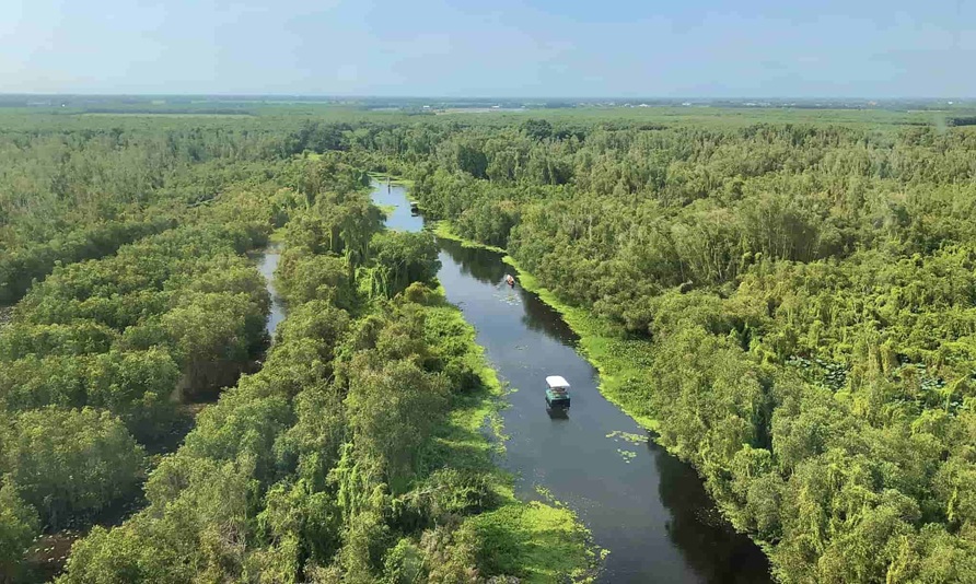 Tây Ninh đẩy mạnh trồng mới, nâng cao tỷ lệ che phủ rừng