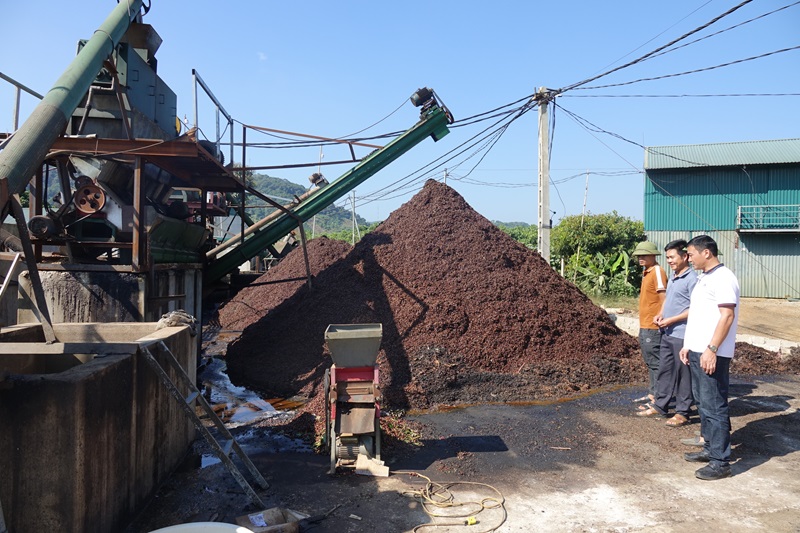 Sơn La kiểm soát, ngăn ngừa ô nhiễm môi trường trong chế biến cà phê