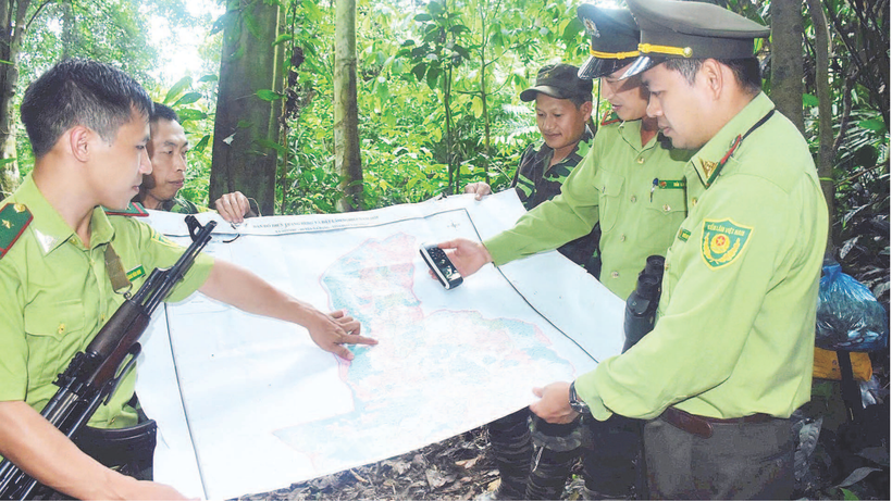 Tuyên Quang ứng dụng công nghệ số trong quản lý, bảo vệ rừng 
