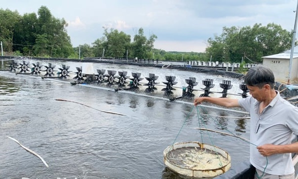 Đồng Nai đẩy mạnh ứng dụng công nghệ cao trong nuôi trồng thủy sản