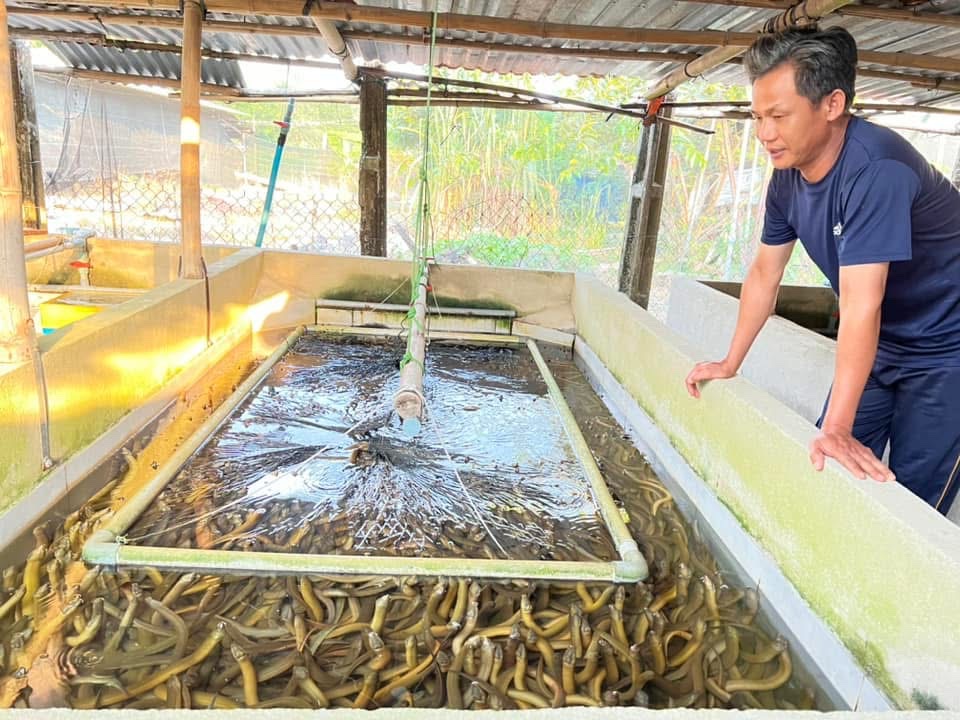 Thúc đẩy phát triển nông nghiệp xanh tại xã Trừ Văn Thố