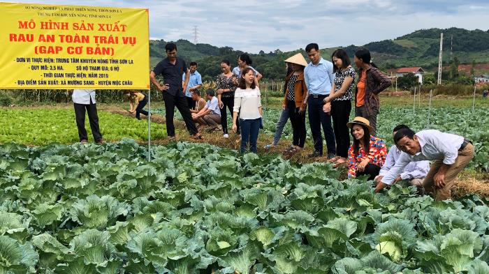 Quy định về thu thập, quản lý cơ sở dữ liệu lĩnh vực trồng trọt và bảo vệ thực vật