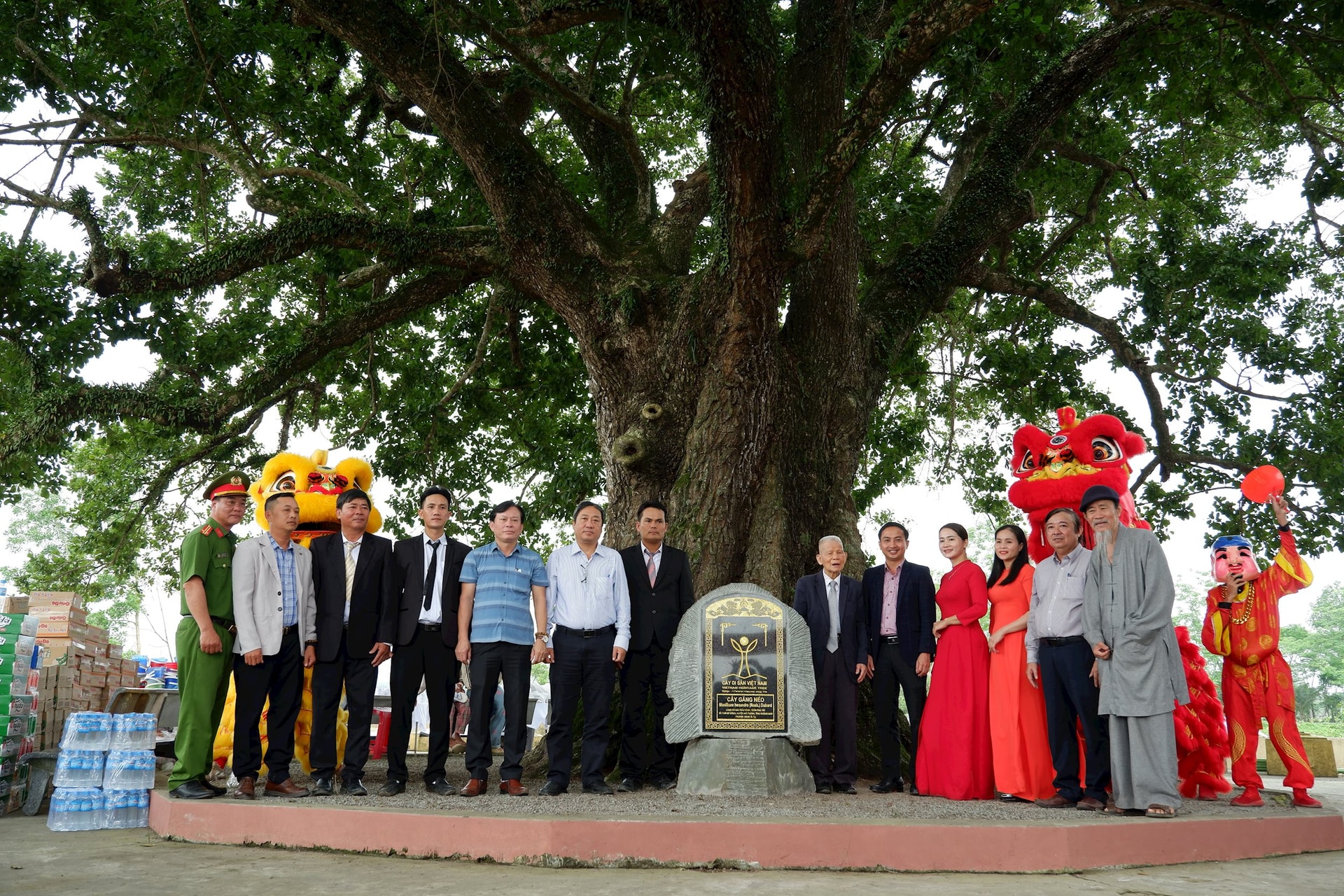 Hội Bảo vệ Thiên nhiên và Môi trường Việt Nam xác định 19 nhiệm vụ trọng tâm năm 2026