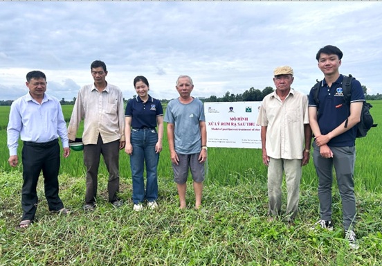 Hiệu quả từ mô hình xử lý rơm rạ bằng chế phẩm vi sinh