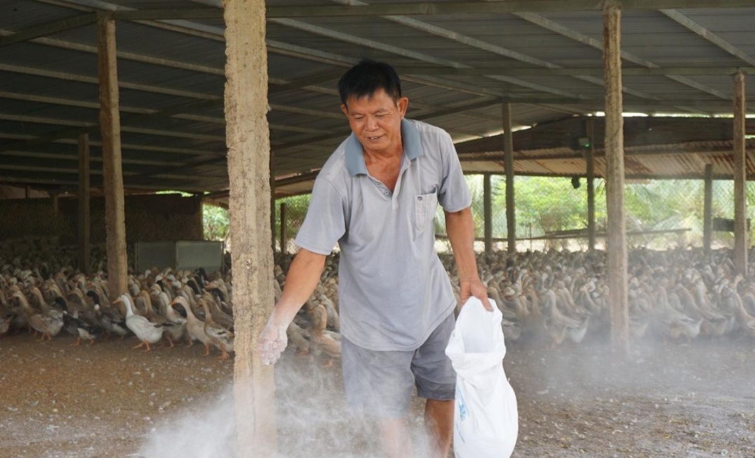 Triển khai các biện pháp phòng, chống dịch bệnh cho đàn vật nuôi sau mưa lũ