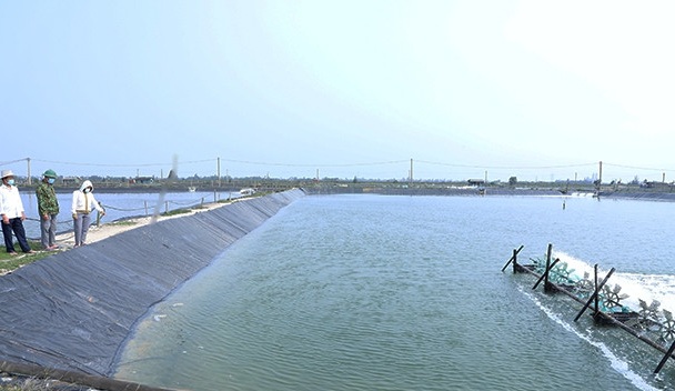 Doanh nghiệp nuôi trồng thủy sản ở Hà Tĩnh bị phạt 320 triệu đồng vì vi phạm môi trường