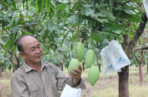 Nhật ký điện tử - công cụ chuyển đổi số hiệu quả trong sản xuất nông nghiệp
