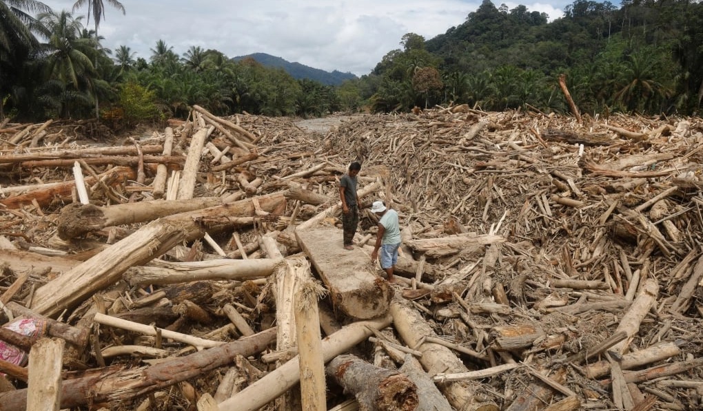 Indonesia tăng cường quản lý hoạt động lâm nghiệp sau thảm họa lũ quét