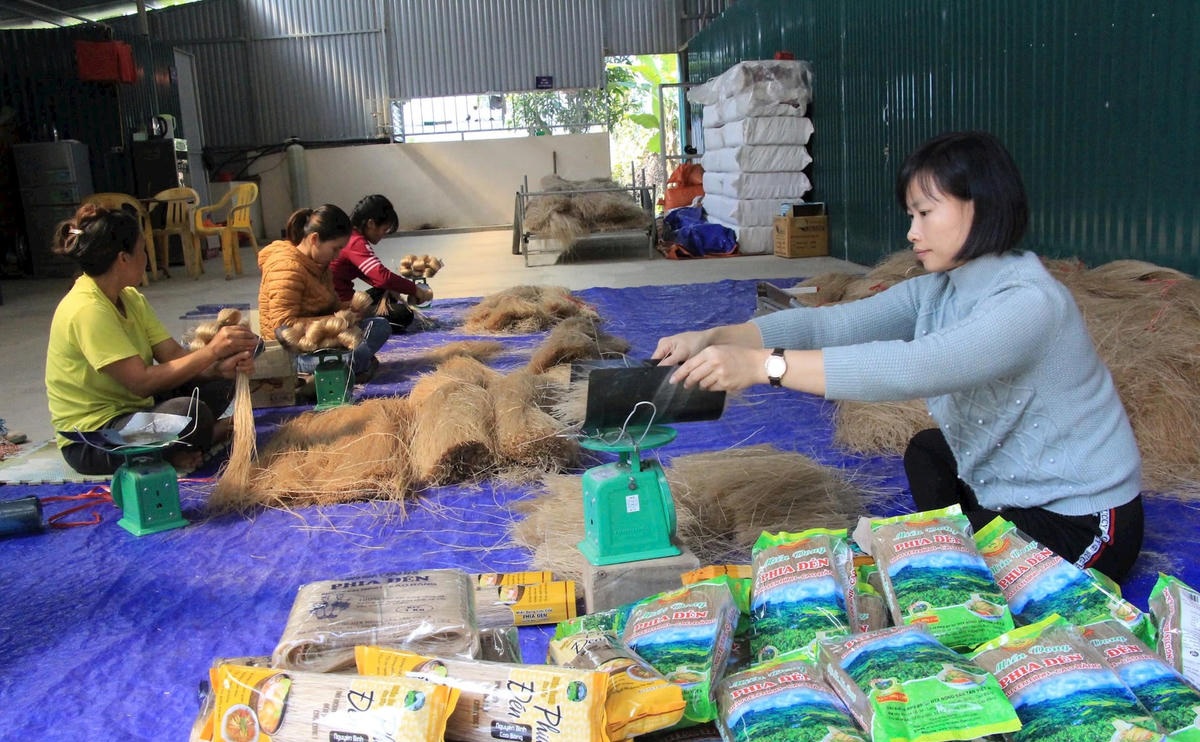 OCOP góp phần nâng cao thương hiệu nông sản tỉnh Cao Bằng