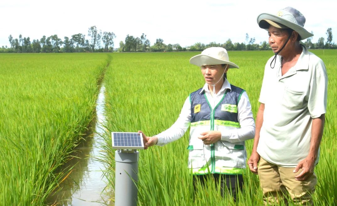 An Giang: Canh tác lúa thông minh, nâng cao hiệu quả sản xuất