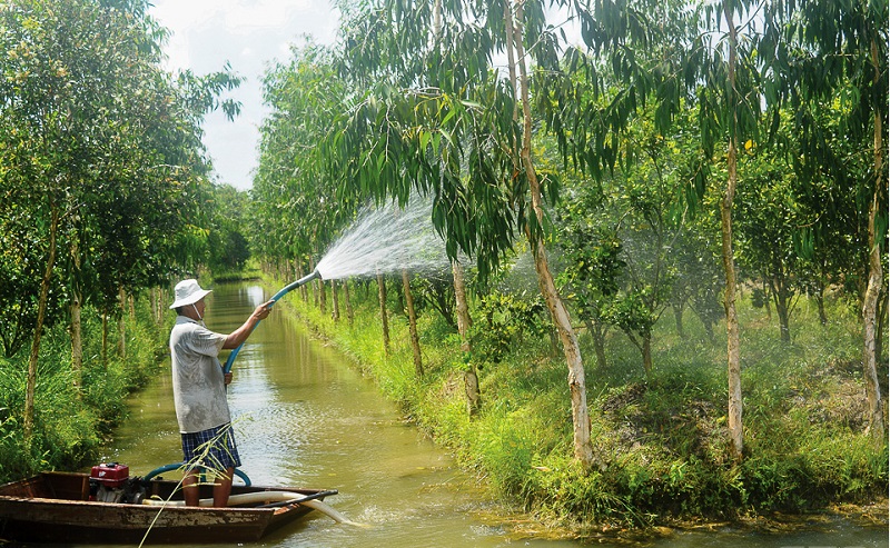 Cần Thơ tăng cường quản lý tài nguyên nước trước tác động của biến đổi khí hậu