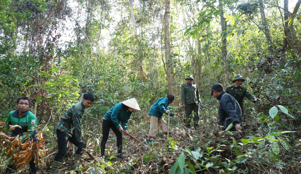 Sơn La: Triển khai hiệu quả chính sách chi trả dịch vụ môi trường rừng