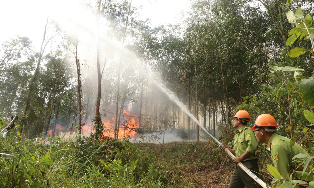 Quảng Ngãi tăng cường phòng, chống cháy rừng mùa khô