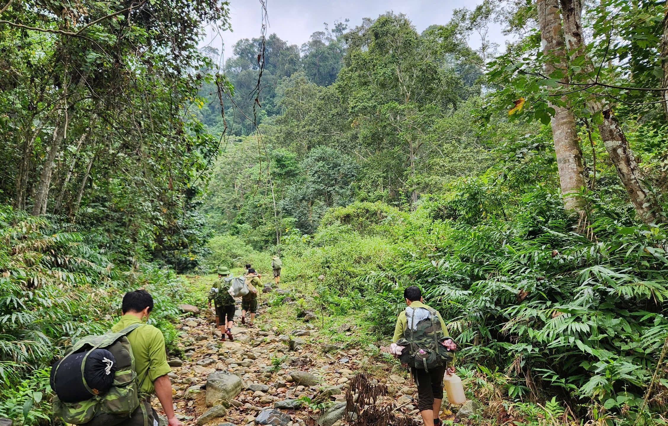 Quản lý rừng bền vững tại Vườn quốc gia Xuân Liên