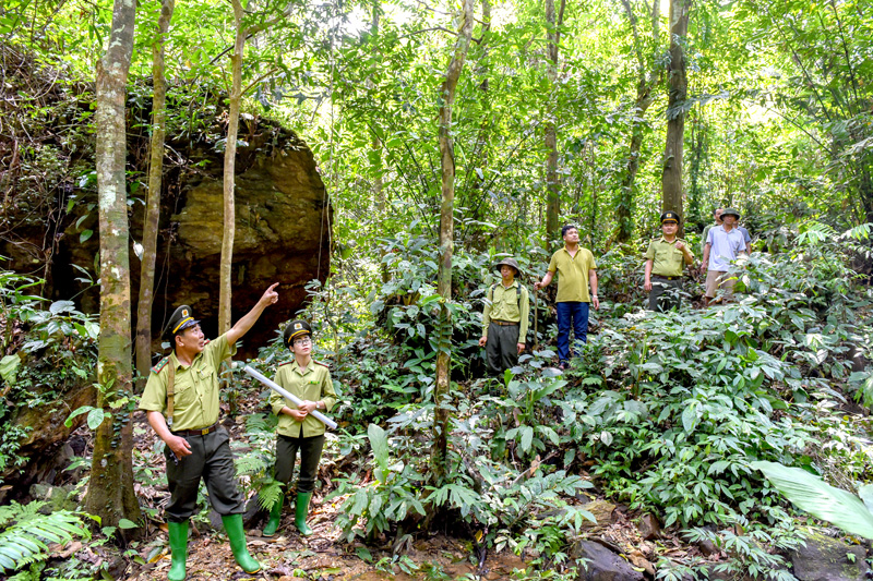 Nâng cao chất lượng rừng, bảo tồn hệ sinh thái và phòng chống thiên tai