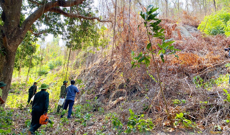 An Giang rà soát, hoàn thiện phương án phòng cháy, chữa cháy rừng