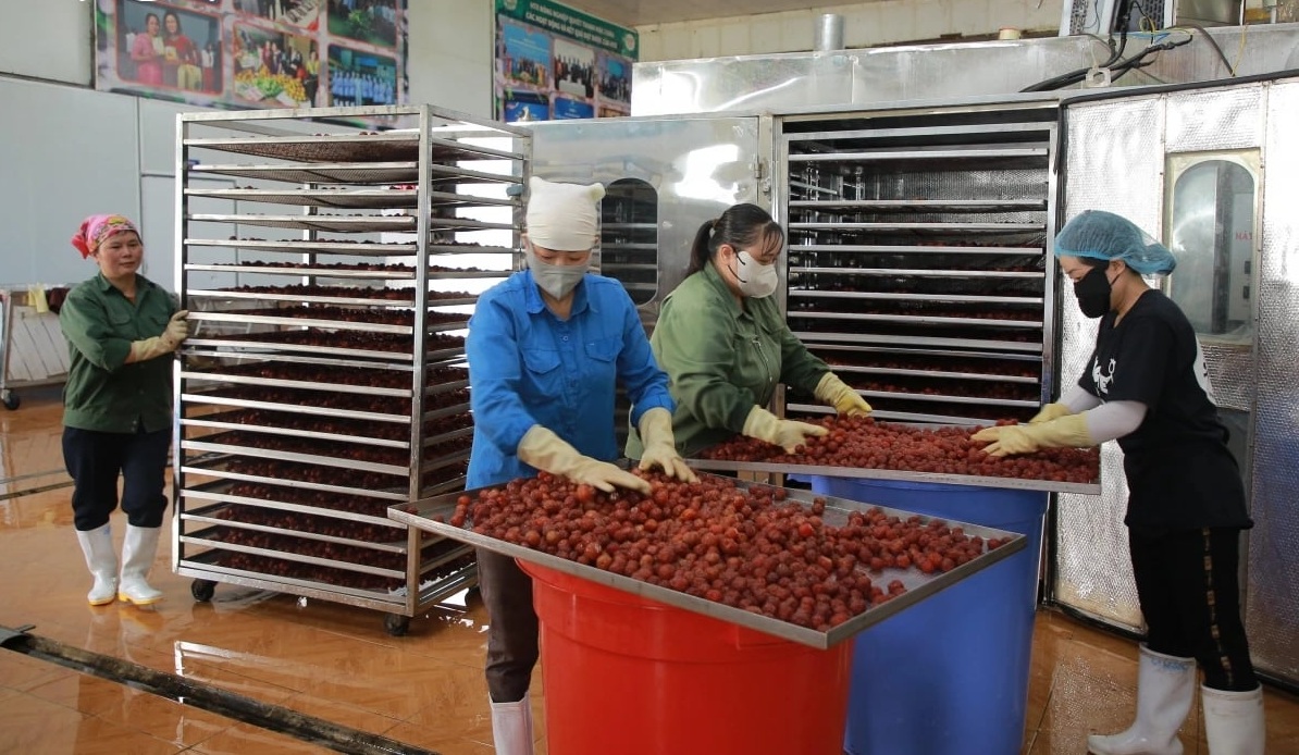 Động lực thúc đẩy phát triển sản phẩm công nghiệp nông thôn