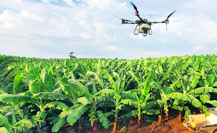 Đồng Nai nhân rộng các mô hình sản xuất nông nghiệp ứng dụng công nghệ cao