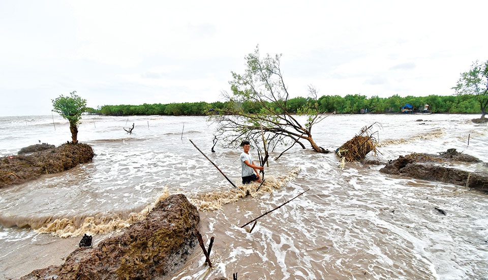 Sạt lở bờ biển làm suy giảm diện tích đất, rừng phòng hộ ven biển