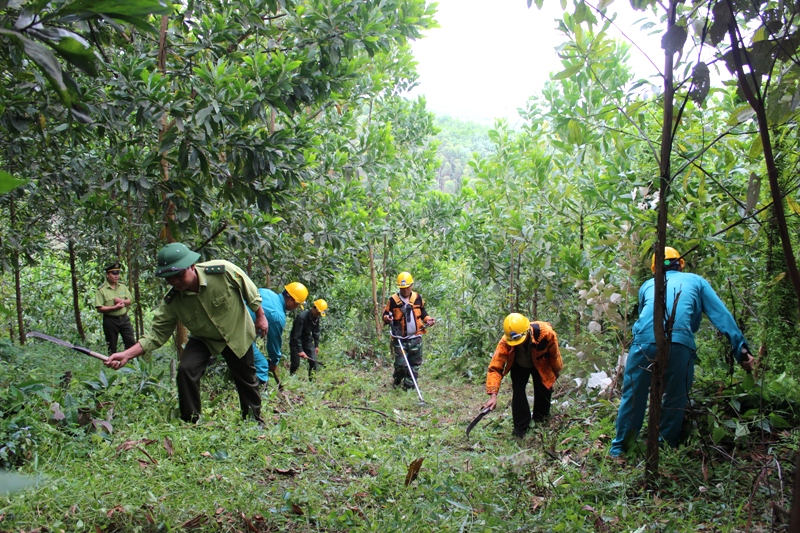 Điện Biên chủ động ứng phó nguy cơ cháy rừng trong mùa khô