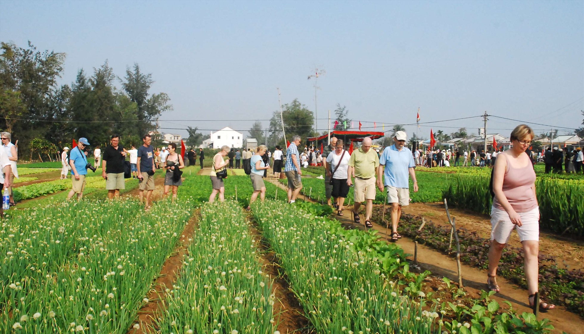Ngành du lịch từng bước chuyển đổi xanh, hạn chế rác thải