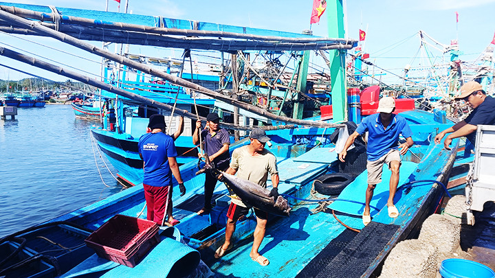 Gia Lai vận hành hiệu quả Hệ thống cảnh báo tàu cá thông minh 