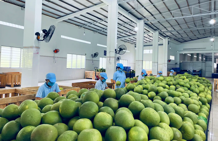 Khai thác nền tảng số phục vụ truy xuất nguồn gốc nông sản