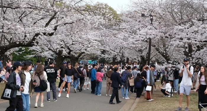 Du lịch Nhật Bản lập kỷ lục về lượng khách quốc tế