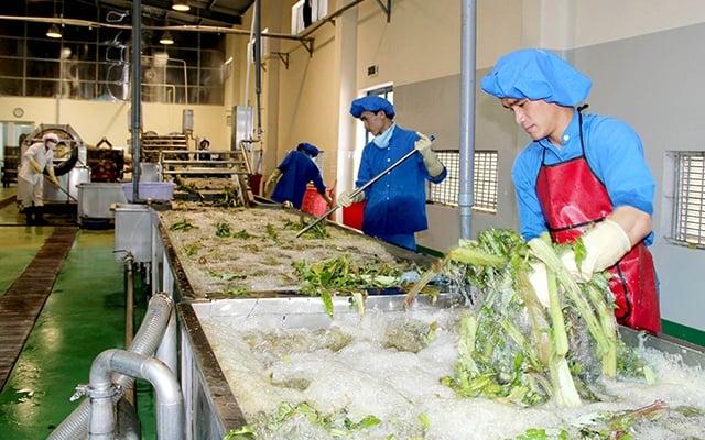 Tạo động lực thúc đẩy phát triển sản phẩm công nghiệp nông thôn Quảng Trị