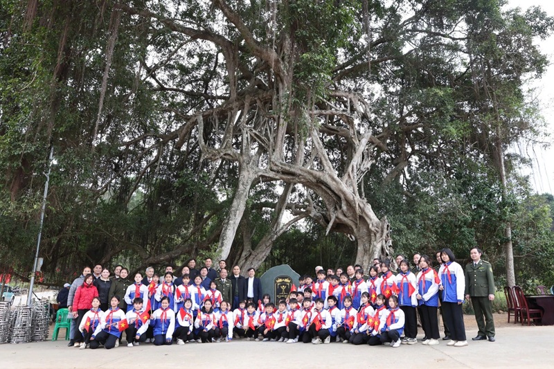 Hoàn thiện quy trình kỹ thuật đo lượng carbon từ Cây Di sản Việt Nam