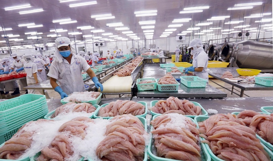 Xuất khẩu thủy sản lập kỷ lục, vượt mốc 11 tỷ USD