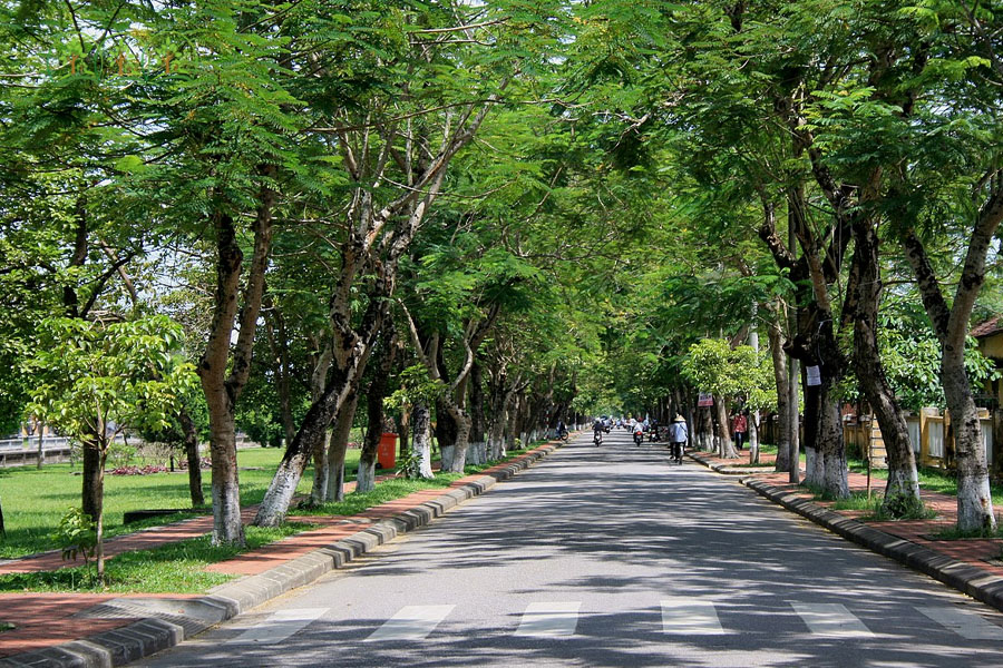 Vĩnh Long triển khai phân cấp trong quản lý công viên, cây xanh, mặt nước