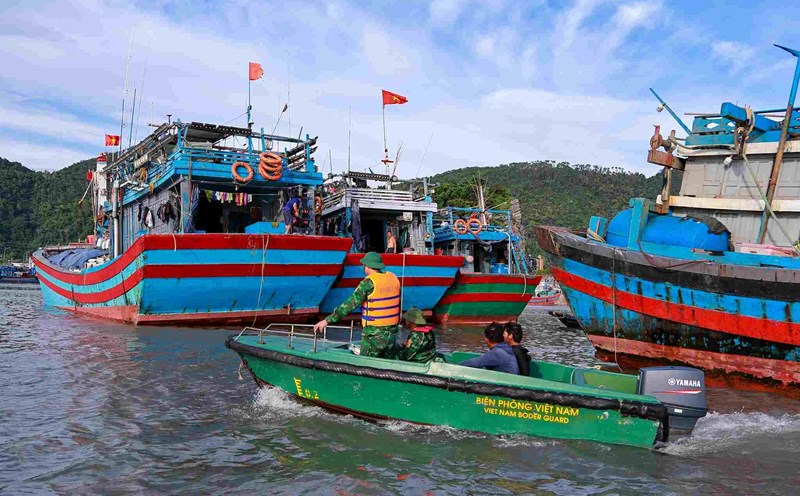 Quảng Trị: Thành lập 2 Tổ kiểm soát liên ngành tăng cường tuần tra, chống khai thác IUU