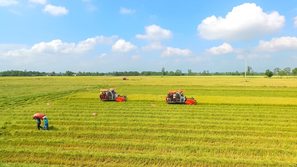 Cà Mau quy hoạch vùng sản xuất sản phẩm nông nghiệp chủ lực