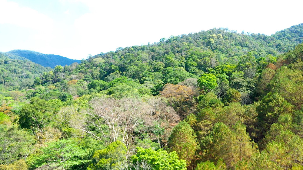 Bảo tồn tài nguyên tại Khu dự trữ sinh quyển cao nguyên Kon Hà Nừng