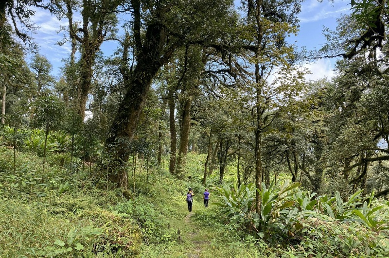 Quy định về điều kiện nuôi, trồng loài thuộc Phụ lục CITES 