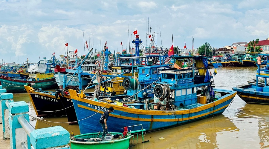 Lâm Đồng tập trung rà soát, kiên quyết không để tàu cá vi phạm vùng biển nước ngoài