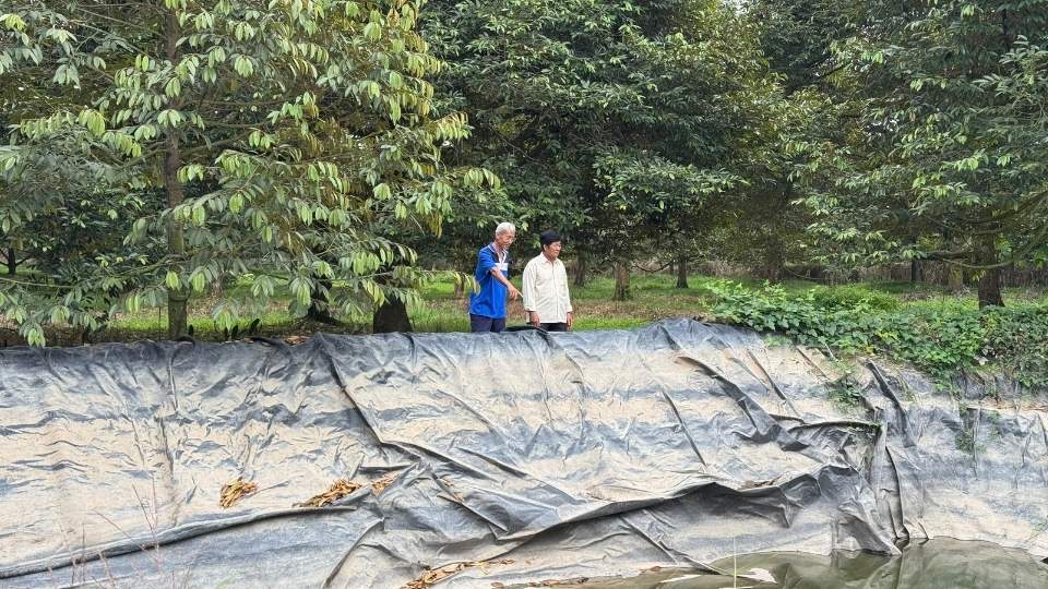 Vĩnh Long chủ động phương án trữ nước ngọt ngay từ đầu mùa khô