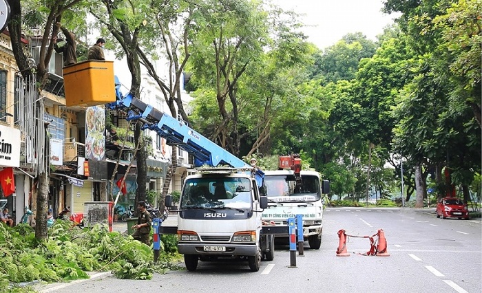 Huế: Rà soát cây xanh đô thị, đảm bảo an toàn mùa mưa bão