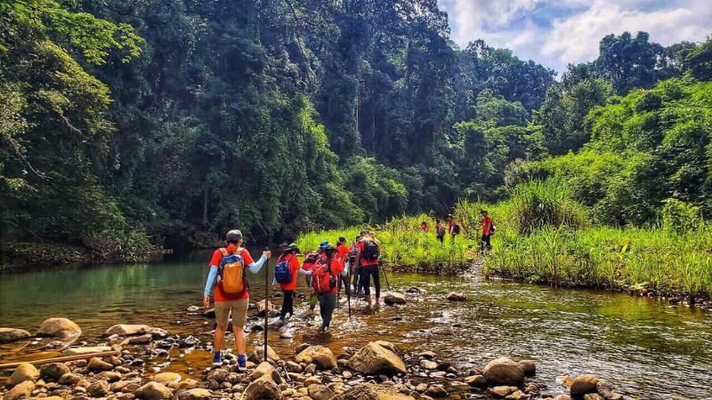 Quảng Ninh khai thác lợi thế phát triển du lịch sinh thái rừng