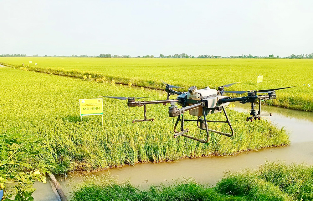 Ứng dụng công nghệ tưới thông minh trên cánh đồng lúa giảm phát thải