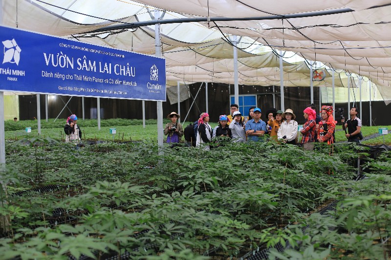 Lai Châu quảng bá, tiêu thụ sản phẩm OCOP trên nền tảng số 