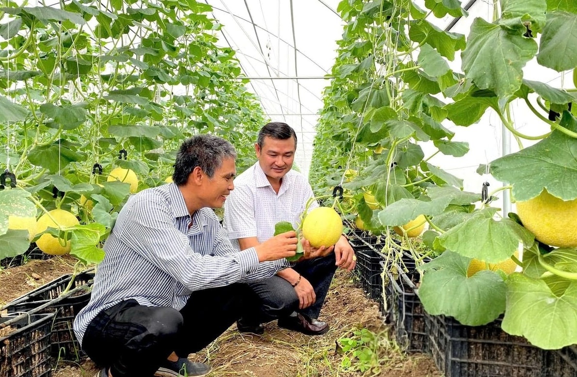 Đồng Nai có nhiều lợi thế phát triển nông nghiệp công nghệ cao