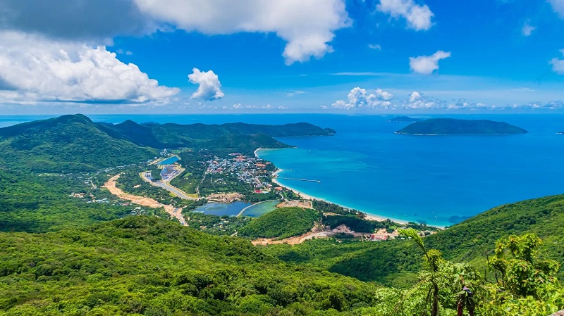 Thành phố Hồ Chí Minh chuyển đổi rừng phòng hộ, xây dựng hạ tầng khu trung tâm Côn Đảo
