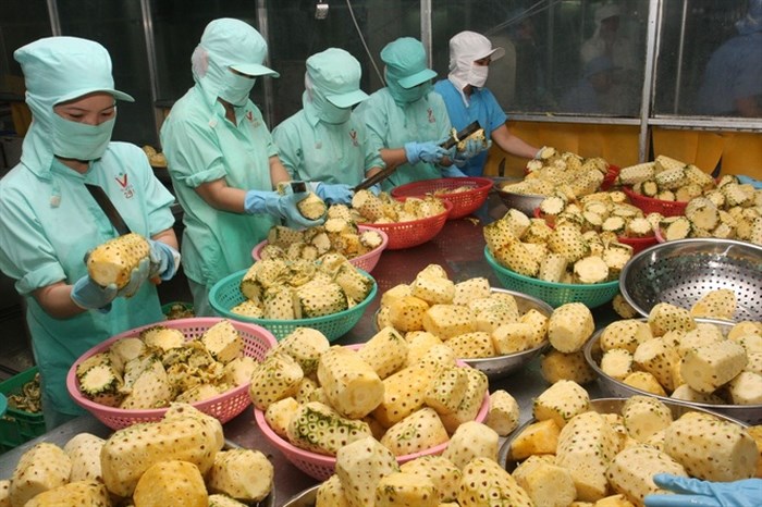 Sơn La đẩy mạnh chế biến sâu nâng cao giá trị sản phẩm nông sản