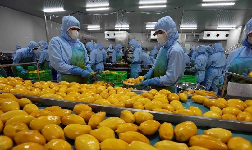 Đồng Tháp: Phát triển nông nghiệp công nghệ cao, nâng tầm thương hiệu nông sản