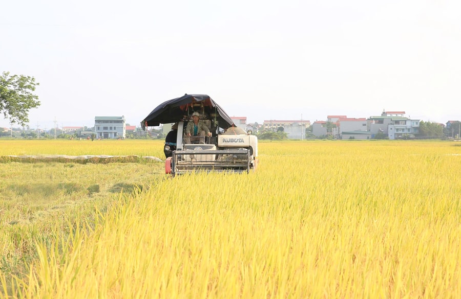 Hà Nội: Thúc đẩy cơ giới hóa đồng bộ trong sản xuất nông nghiệp