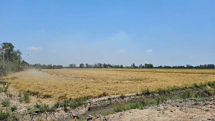 An Giang phòng, chống hạn mặn trong cao điểm mùa khô